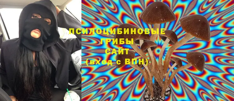 Псилоцибиновые грибы MAGIC MUSHROOMS  OMG маркетплейс  Безенчук 